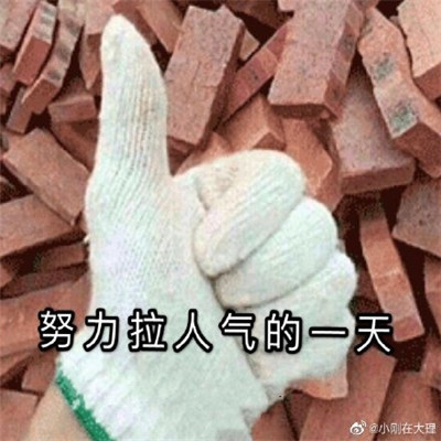 双十一的养猫人表情包 淘宝人气助力PK表情