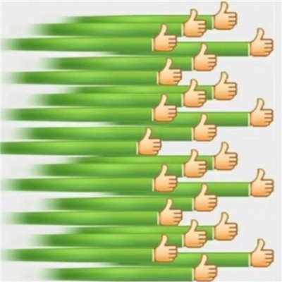 超级火的经典表情大全 有便宜不占王八蛋