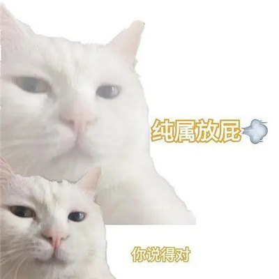 超级火的经典表情大全 有便宜不占王八蛋