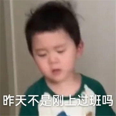 最近网上最火的好笑表情 跟你这只猪讲不通