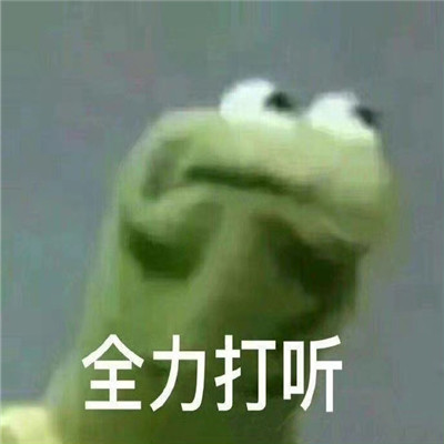 最近网上最火的好笑表情 跟你这只猪讲不通