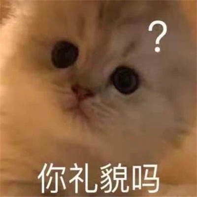 精选很搞笑的表情包最新 很特别的表情合集