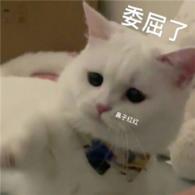 精选很搞笑的表情包最新 很特别的表情合集