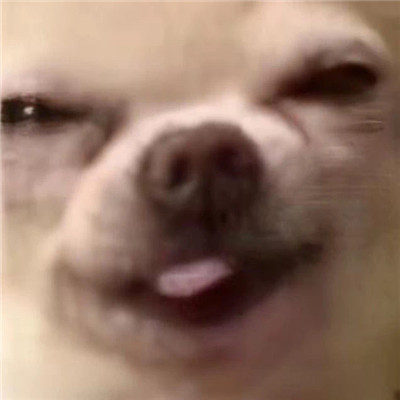 精选很搞笑的表情包最新 很特别的表情合集