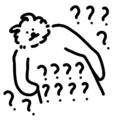 线条猫很可爱的又很实用表情 2022可可爱爱线条猫表情合集