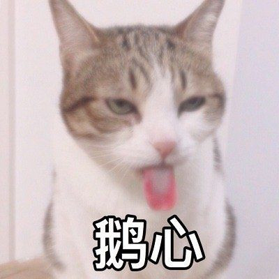 能够让别人秒回的表情包 聊天不尴尬的表情大全