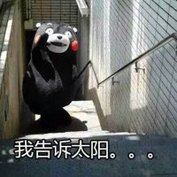 熊本熊雨露均沾表情图片 独得太阳恩宠版熊本熊表情包