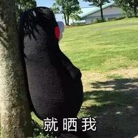熊本熊雨露均沾表情图片 独得太阳恩宠版熊本熊表情包