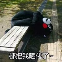 熊本熊雨露均沾表情图片 独得太阳恩宠版熊本熊表情包