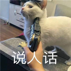 微信猫咪卖萌表情包配字 我要一个亲亲