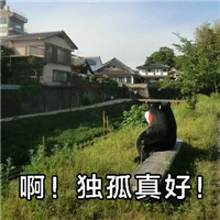熊本熊表情包之长胖的原因 熊本熊卖萌搞笑表情