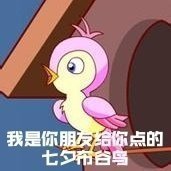 2020七夕布谷鸟微信表情包 七夕布谷鸟无水印表情包最新