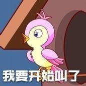 2020七夕布谷鸟微信表情包 七夕布谷鸟无水印表情包最新