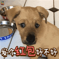 2018微信拜年要红包表情包 狗年专属拜年讨红包表情包