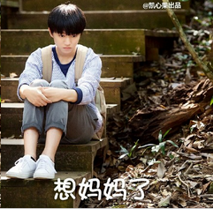 母亲节专用表情包2016最新版 母亲节快乐聊天专属表情图片