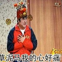 2016央视春晚表情包图片大全 宝宝心里苦