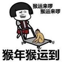 2016猴年金馆长聊天表情包 猴年猴运到