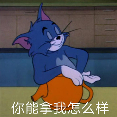 个性带字猫和老鼠经典表情包 打打闹闹却又不离不弃