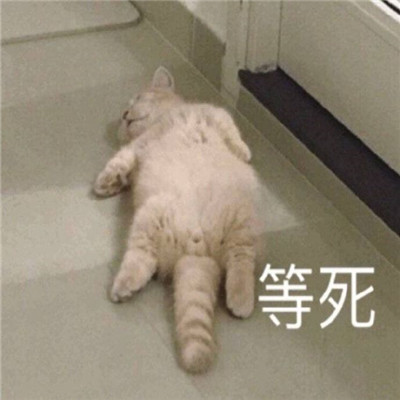 很实用的斗图沙雕表情精选合集 全网超级火的爆笑表情大全