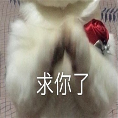 欢乐斗图有趣的聊天表情大全 最新出炉的微信斗图表情合集