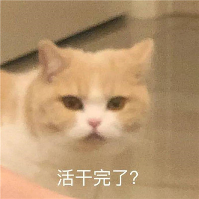 欢乐斗图有趣的聊天表情大全 最新出炉的微信斗图表情合集