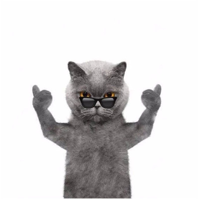 抖音霸气喵星人表情包高清无水印 抖音霸气喵星人微信表情包大全