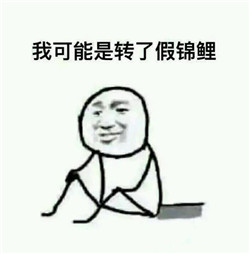 2017最火系列我可能xx了假xx表情包 我可能是喝了假酒