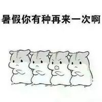 关于暑假之暴走灰白仓鼠表情包 爱我就不要离开我