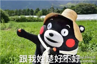 孤芳不自赏楚北捷霸气手绘表情包大全 我的心对你完全敞开