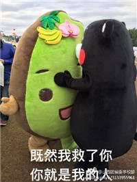 孤芳不自赏楚北捷霸气手绘表情包大全 我的心对你完全敞开