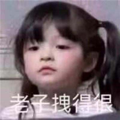 搞笑斗图带字可爱表情包合集  有志少女先谋生后谋爱