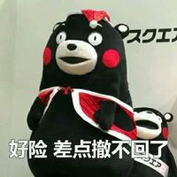 斗图专用熊本熊聊天表情包大全 不要以为你长得丑