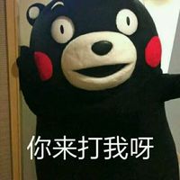斗图专用熊本熊聊天表情包大全 不要以为你长得丑