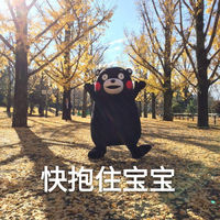 斗图专用熊本熊聊天表情包大全 不要以为你长得丑