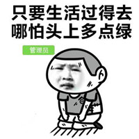 群聊天斗图专用表情包 群主管理员和群员之间的战争