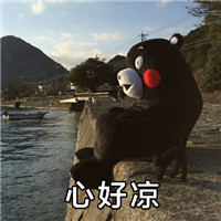 斗图专用熊本熊微信表情包 我要这脂肪有何用