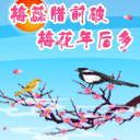 传统祝福语 2011兔年春节祝福QQ表情大全