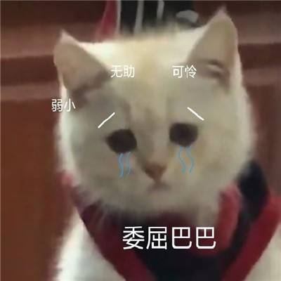 一组搞笑又猥琐的特色表情包 会遇见为了你的快乐费尽心思的人