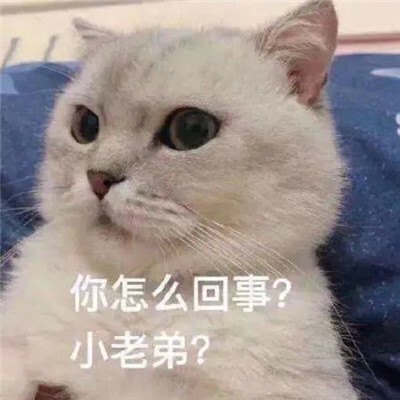 一组搞笑又猥琐的特色表情包 会遇见为了你的快乐费尽心思的人