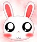 超搞笑的卡通兔乐园QQ表情