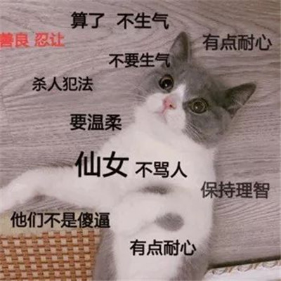 抖音人生不如意十之八九表情包大全 别生气表情包搞笑图片