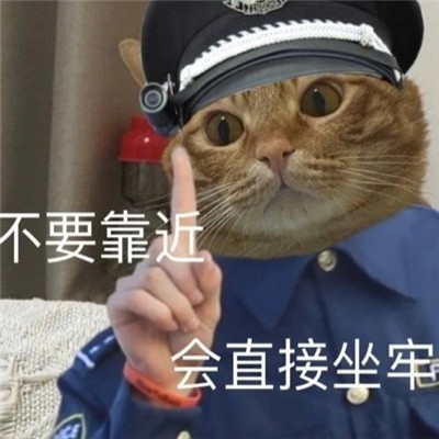 小猫咪警察搞笑表情包大全 不要靠近直接会坐牢