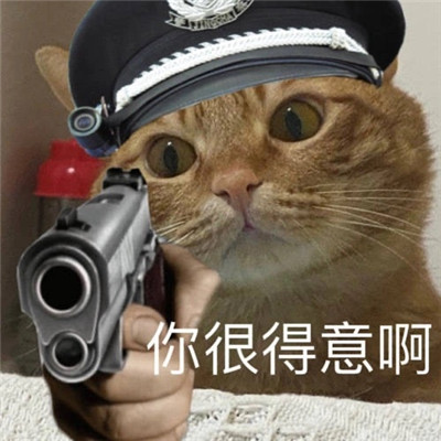 小猫咪警察搞笑表情包大全 不要靠近直接会坐牢