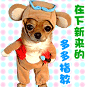 在下新来的多多指教