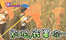 别怕，我罩你