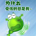 为什么受伤的总是我