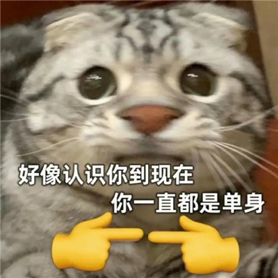 全新表情很沙雕又很快乐最新 2022很开心的的表情合集