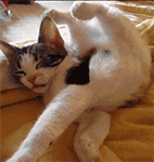 连睡个觉也不能安稳