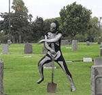 苍茫的天涯是我的爱