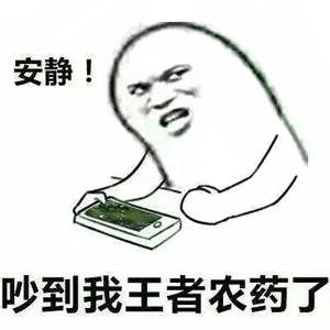 安静，吵到我王者农药了